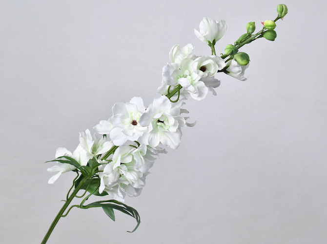 Delphinium Spray White 91cm