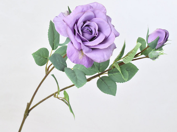 Tintagel Spray Rose Lavender 63cm