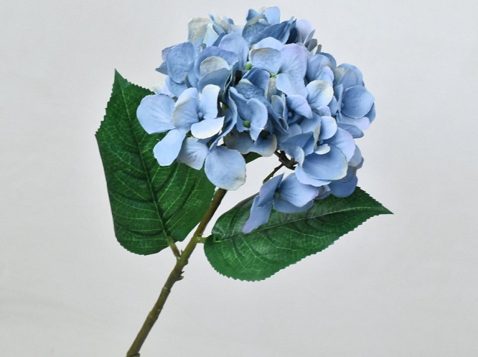 Hydrangea Blue 66cm