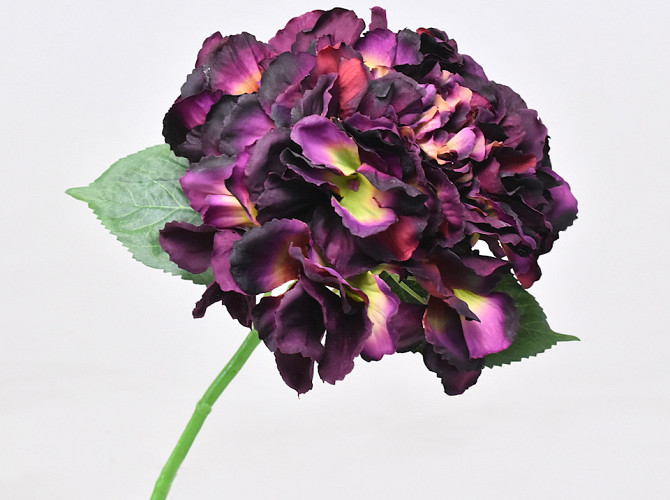 Hydrangea Dark Purple 40cm