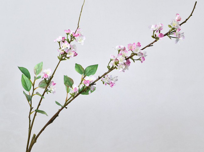 Cherry Blossom Pink 115cm