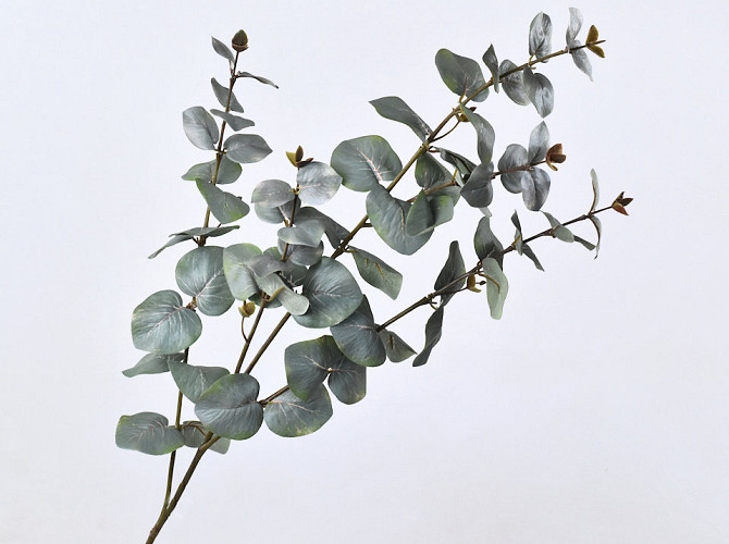 Eucalyptus Spray 108cm