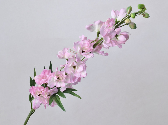 Delphinium Spray Pink 91cm