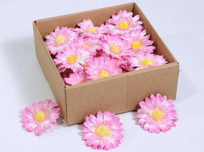 Gerbera 7cm Pink 50-Pack