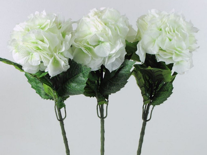 Hydrangea Giant 75cm white