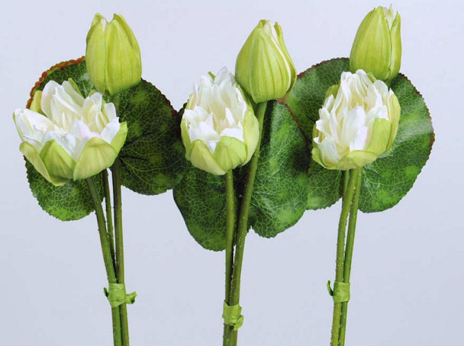 Lotus Flower 80cm white