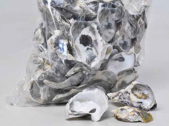 Oyster Talaba shells 1kg