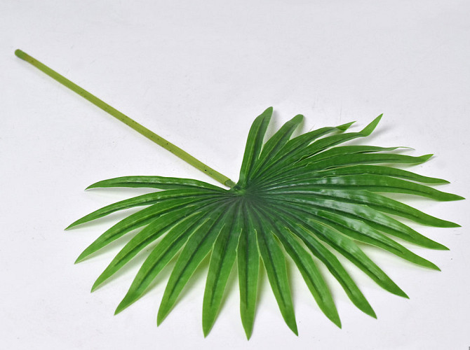 Künstliche Palm Blatt Grün 50cm