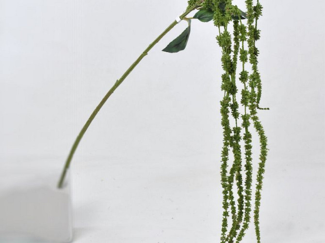 Amaranthus Green 66cm