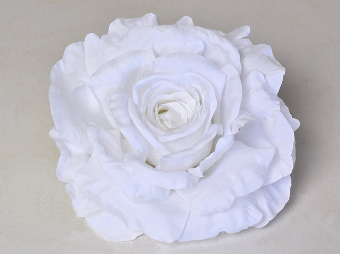 Rose D15cm Weiß
