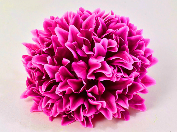 Chrysant D16cm Fuchsia