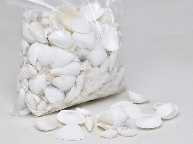 Bag of shells Mix White 1kg