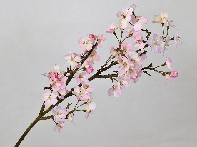 Apple Blossom 104cm Pink