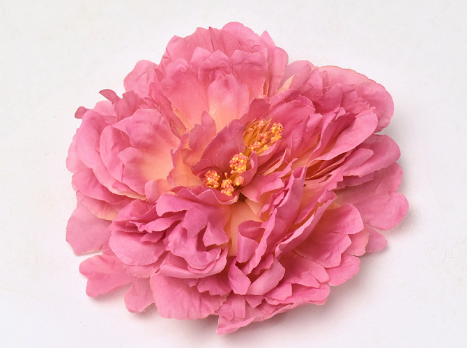 Peony D18cm Old Pink