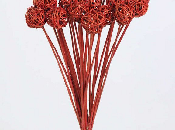 Brunch Ball auf 50cm Stiel rot