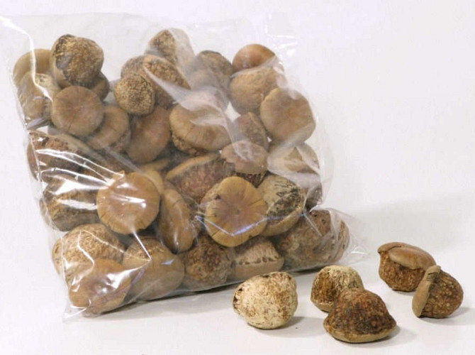 Flower Mushroom 3-4cm 500gr.
