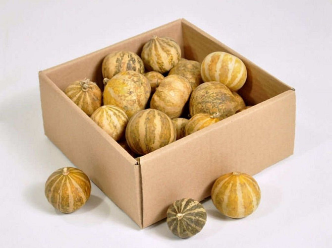 Mini Melon 4-5cm 25-Pack