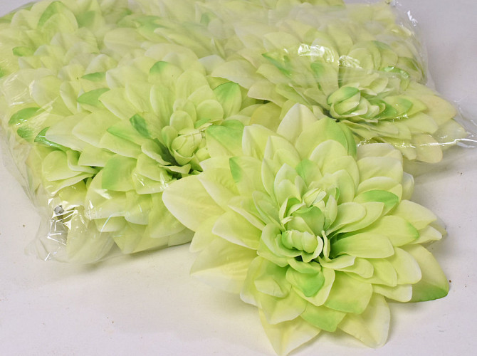 Dahlia Light Green D20cm