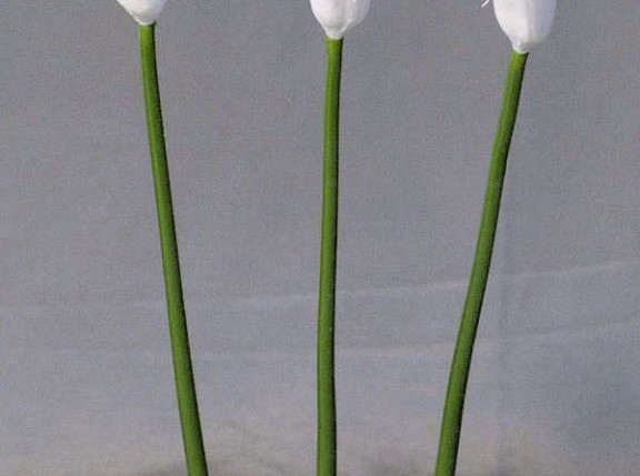 Calla 55cm weiss