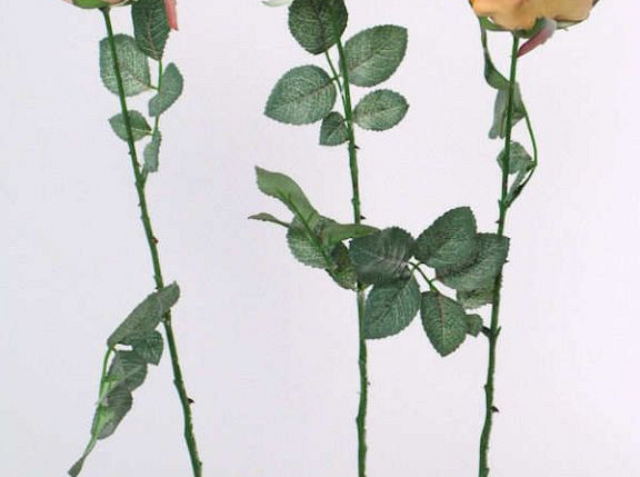Rose half-open 84cm orange