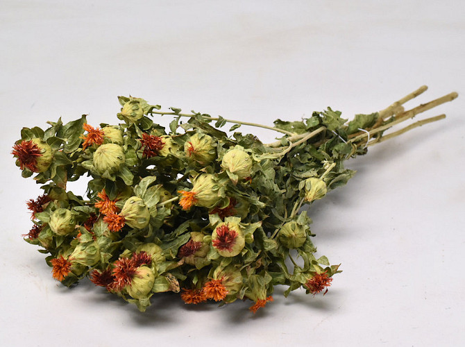 Bouquet Carthamus 65cm