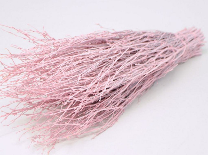 Birch pink-wash 60cm 50pcs