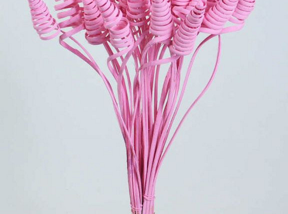 Cane Cone on 50cm stem pink