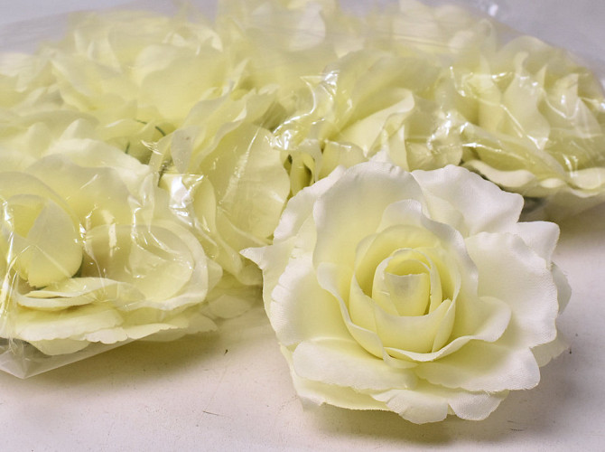 Rose D11cm Creme