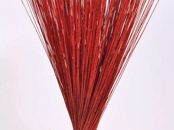 Reed Cane Red 75cm