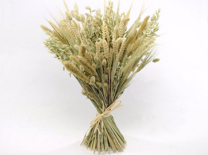 Dried Grass Bouquet 50cm