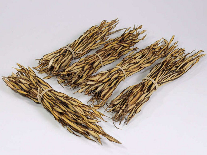 Fire Grass Bunch 30-40cm