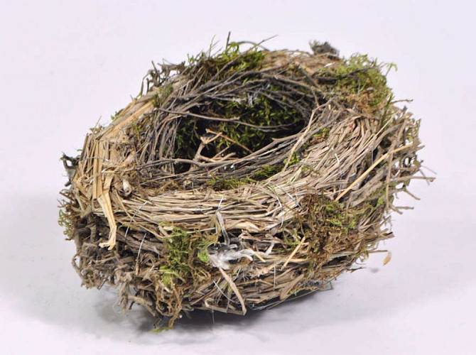 Flower Pot Bird's Nest 20cm