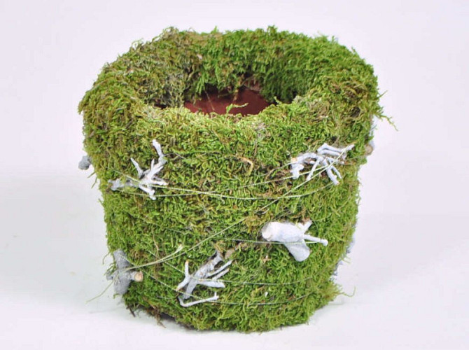 Flower Pot Green Moss 12cm