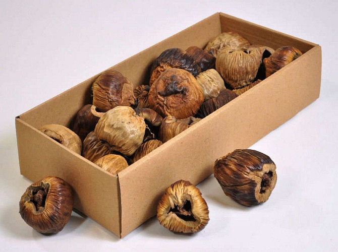 Talami 6-8cm 25-Pack