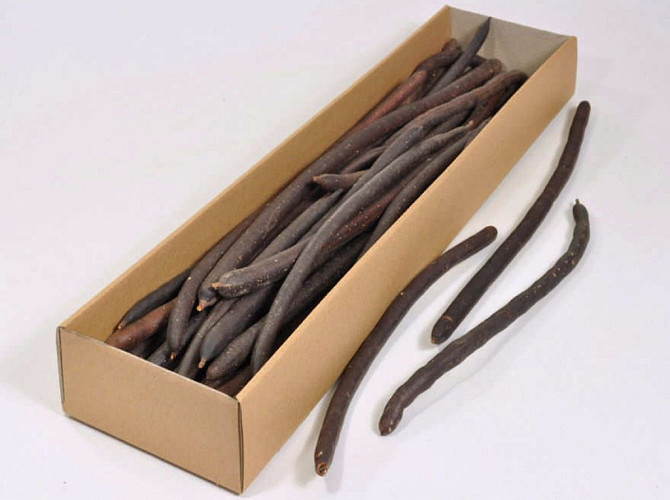 Cassia Fistula 40-55cm 25-Pack
