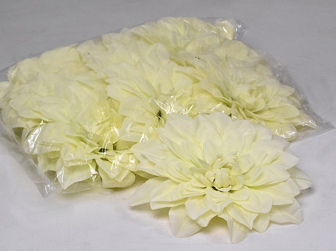 Dahlia D20cm Cream