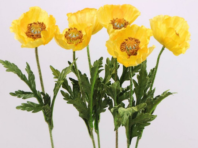 Poppy Flower 60cm yellow