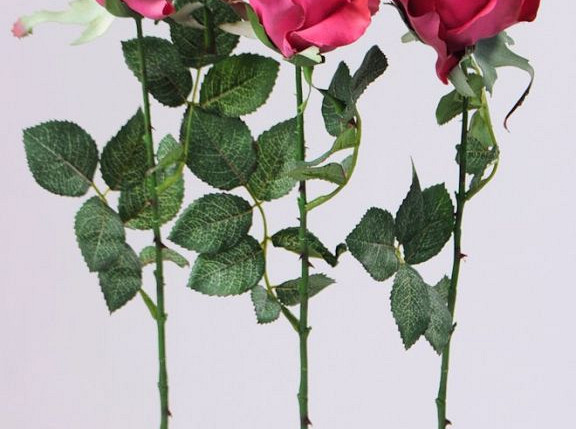 Rose halb-geÃ¶ffnet 84cm Rosa