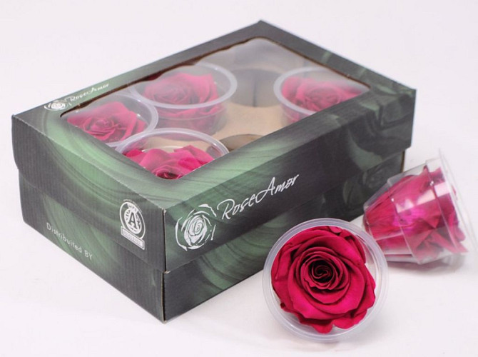 Rose Heads 6cm fuchsia pink