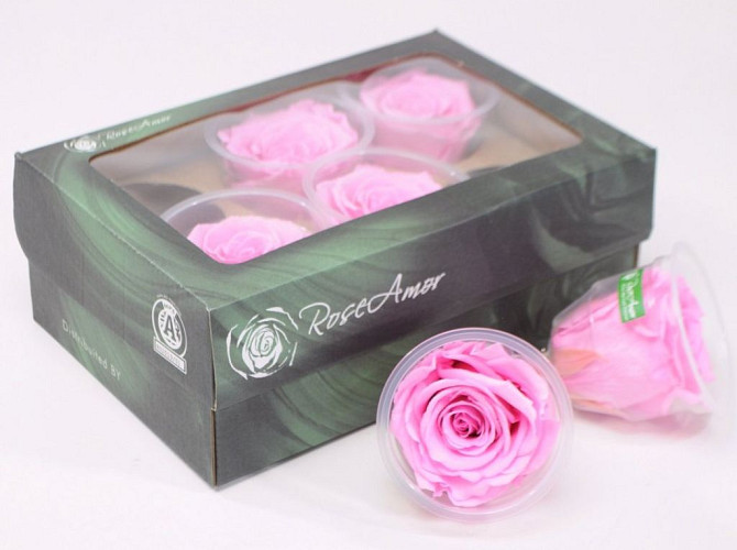 Rosenköpfe 6cm Leicht Rosa