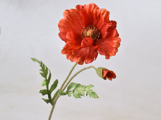 Poppy Flower 65cm Red