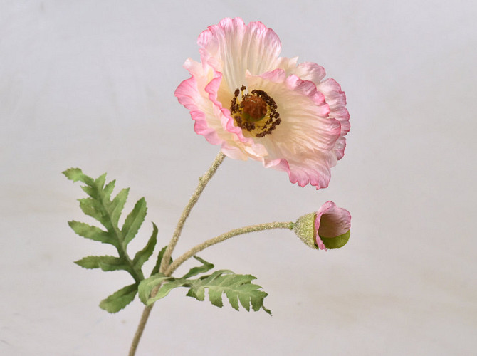 Poppy Flower 65cm Pink