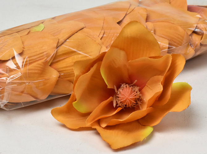 Magnolia D17cm Orange