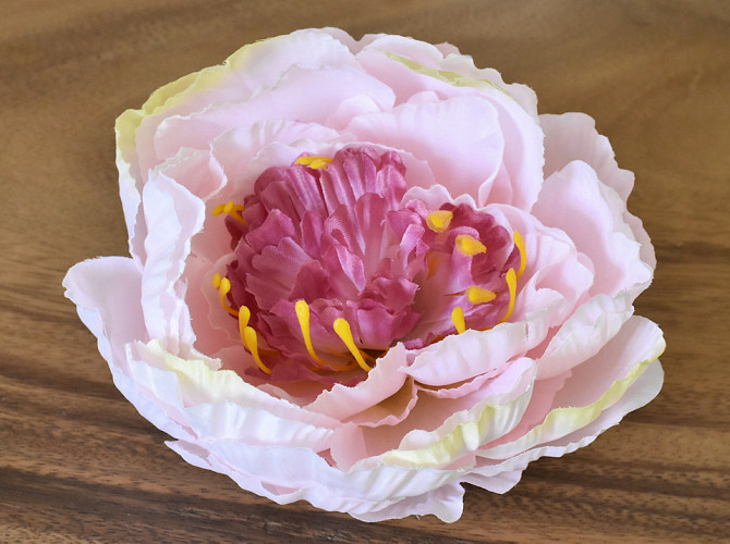 Peony Pink D16cm