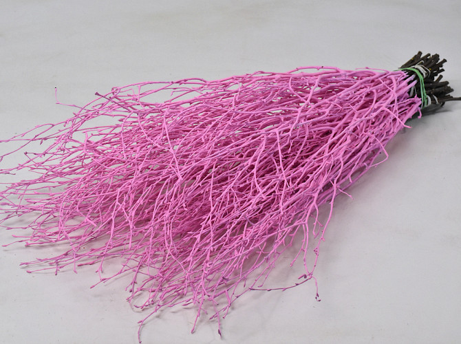 Birch Pink 50-pack