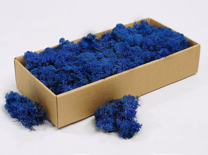 Reindeer Moss Blue 500gr.