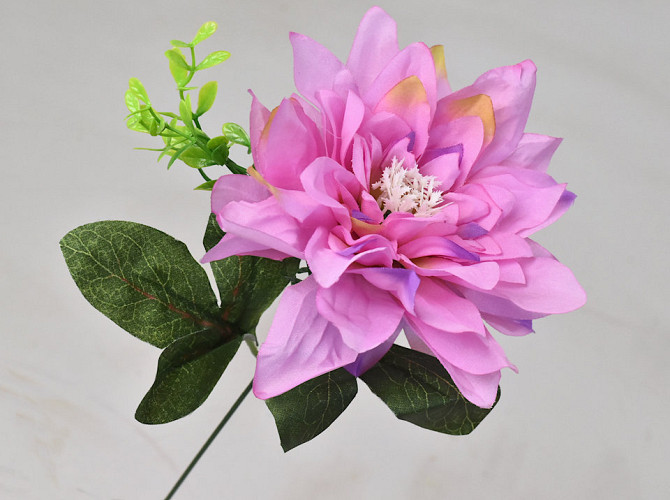 Dahlia D14cm Roze