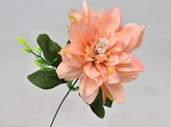 Dahlia D14cm Peach