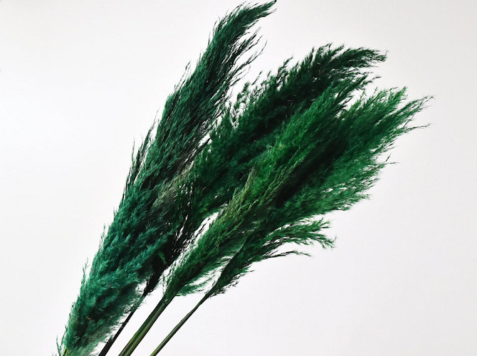 Pampas grass 110cm Green