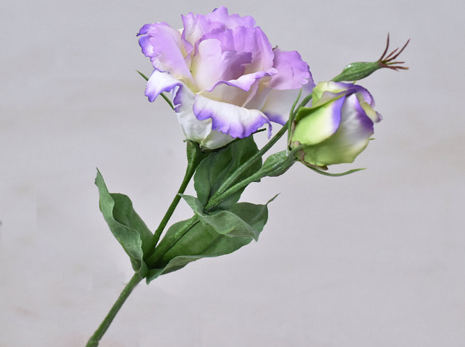 Lisianthus Purple 38cm